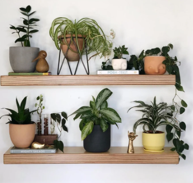 Plyboard Floating Shelf Board — Sanded, Unfinished