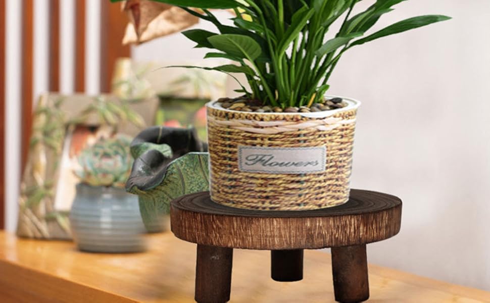 Wooden Plant Pot Riser — Round Base, 3/4in